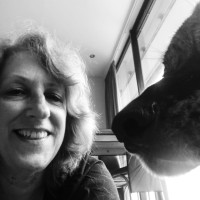 Yvonne Gales-Van Ettinger