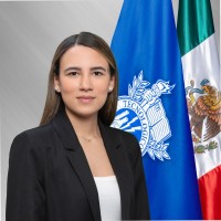 María Alejandra Castillejos Hernández