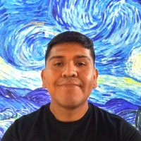 Mirko Fernando Flores Jimenez