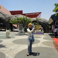 Wahyu P