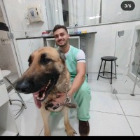 Diego Medeiros Di Lorenzo