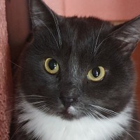 Kevin M