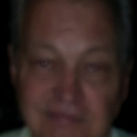Gary Wilkins