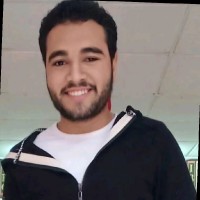 Mostafa Hasanin