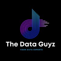 The Data Guyz