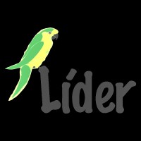 E commerce Lider SAS