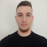 Davide Giannetti