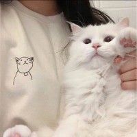 لولي .