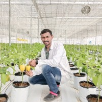 Pranil Kadam