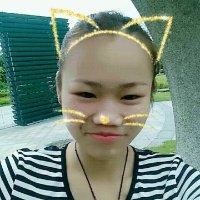向前磊