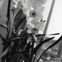 杨建常