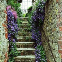 Patricia Haney Fullenwinder