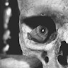 Quimica Forense