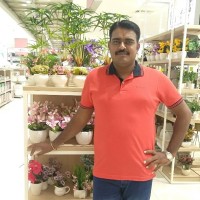 Naveen Kumar A