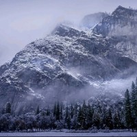 Virginia Alarcón Alonso