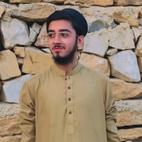 HASSAN ELAHI
