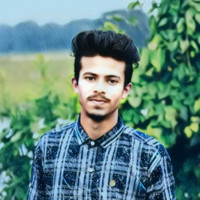 Md Farhadul Rakib