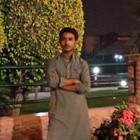 Hassan Malik