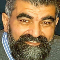 Ali Bingol
