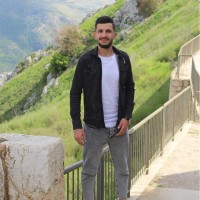 Mhamad Alawieh