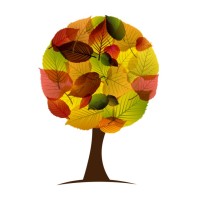 Empresa Júnior Arbórea Florestal