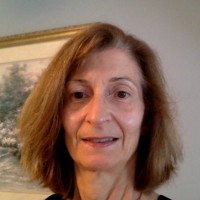 Michele Fochesato Braen