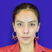 Diandra Nathaly Céspedes Sagardía