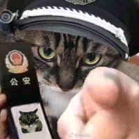 夏卫伟