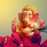 Tripta Dhiman