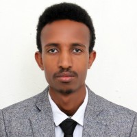 Biruk Temesgen