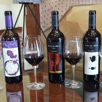 Mark Boer - Bodegas Peñafiel