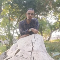 Samer Hayel