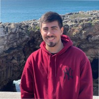 Pedro Henrique Telbis Tavares