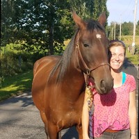 Jennifer Marie Frieze