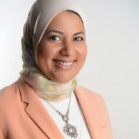 Norhan T. Hussein