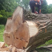 sander schuiling