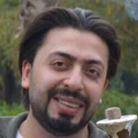 محمد محمود