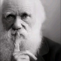 James Price