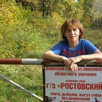 Елена Чеснокова