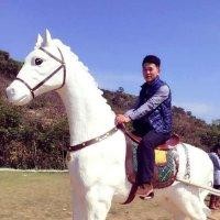 林灿彬