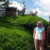 Rianissani Khairunnisa