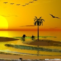 Sci M El-Sayed