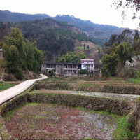 杨清华