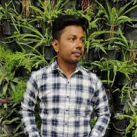 Manoj Kumar Bais