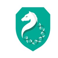 孙康迪