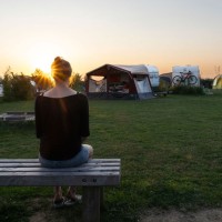 Nicoline van der Kooij