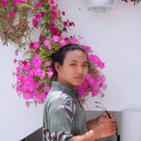 Gia Trần