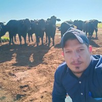 Marco Antonio do Carmo
