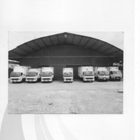 TRANSPORTES MOLINA ZAMBRANO