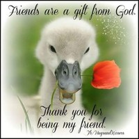 Brenda Tolar